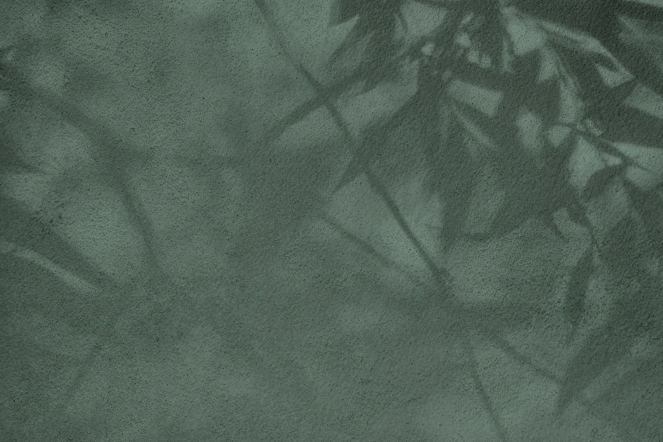 Leaves shadow on gray green concrete wall texture background
